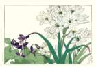 43 photo43_small.jpg